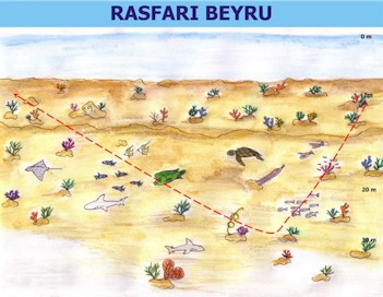 Rasfari Beyru